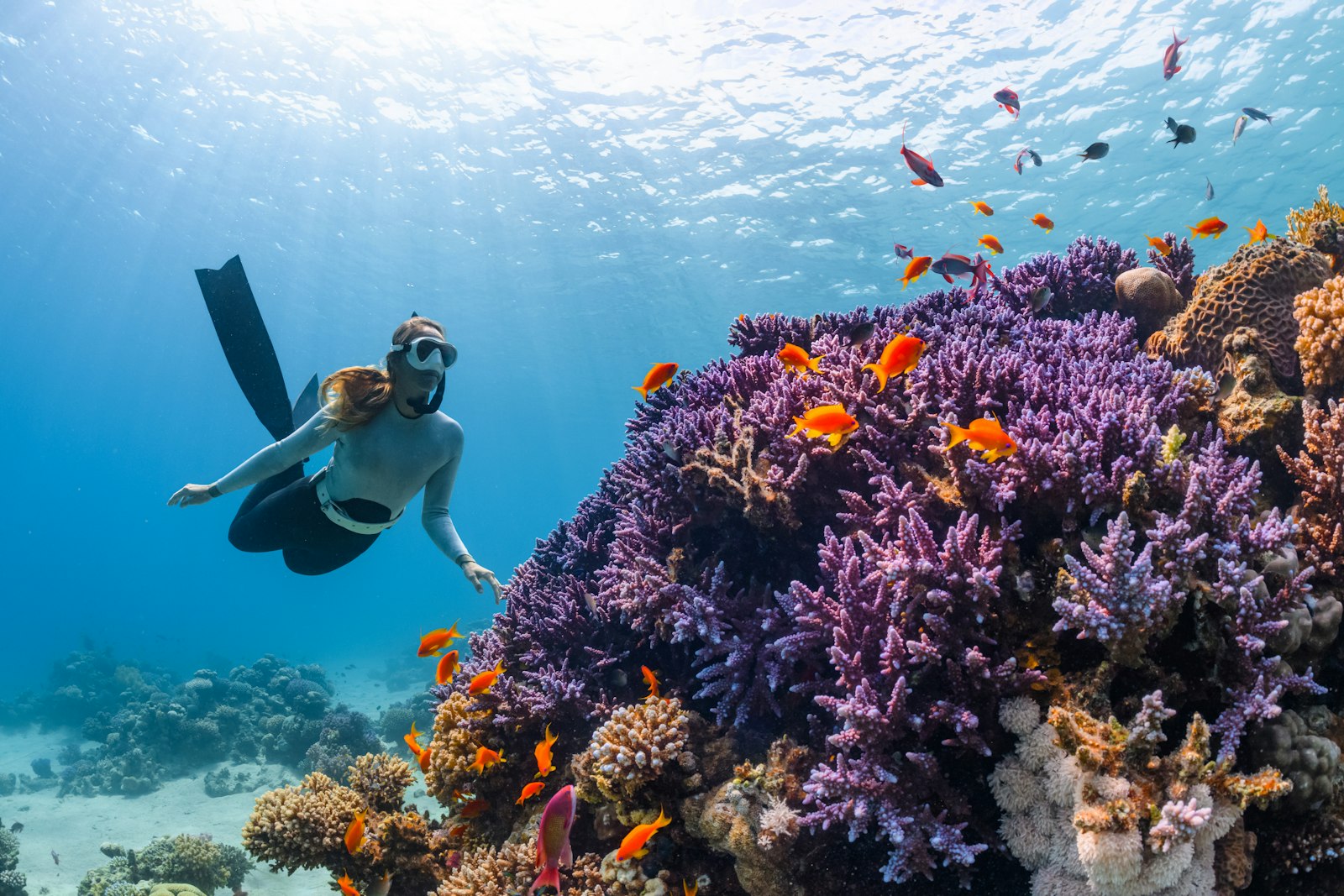 Batu Bolong: Komodo’s Iconic Pinnacle — and Why It’s Not for Beginners