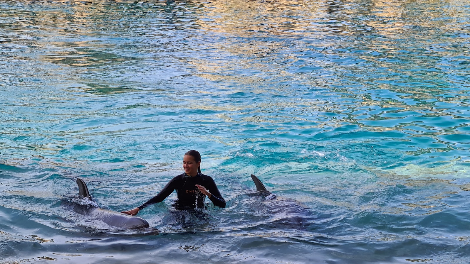 Can Beginners Dive Komodo? The Honest Answer, Site by Site