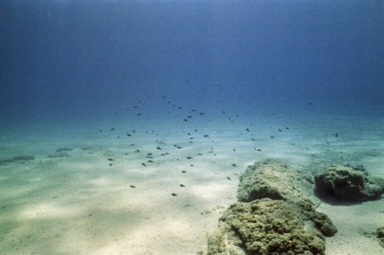 An underwater view of rocks and sand on the ocean floor