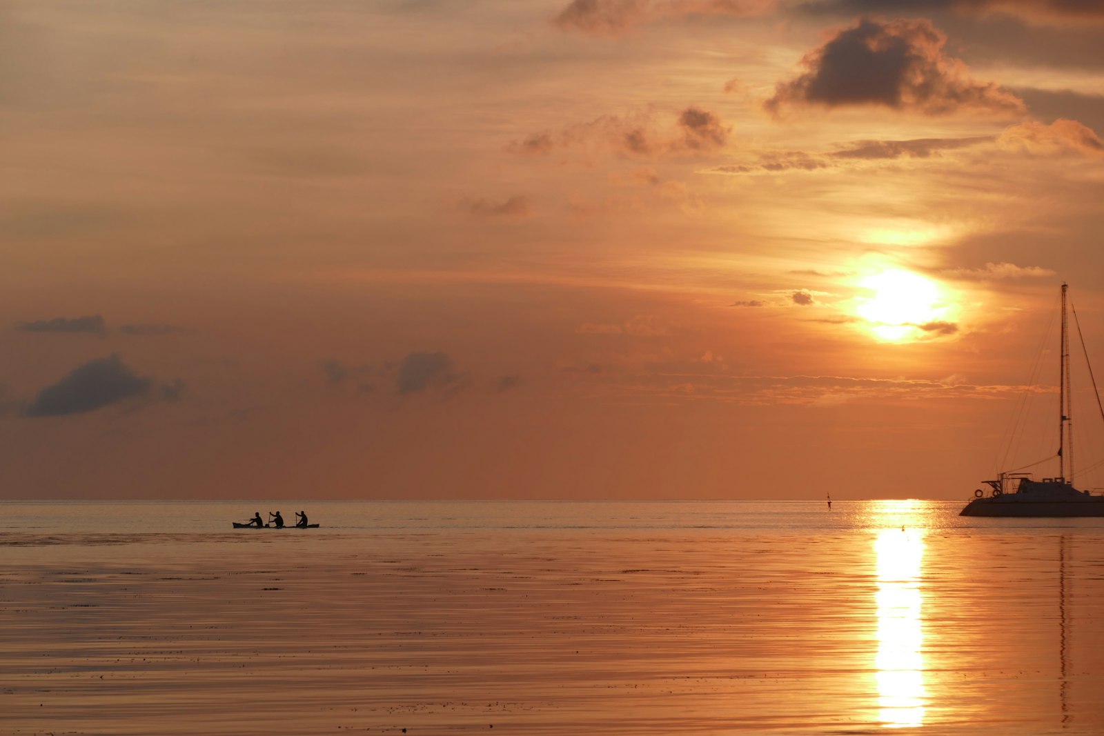Komodo Diving Cruise: Dive Days Plus Dragons, Padar & Pink Beach Voyages