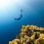 a person swimming over a coral reef in the ocean