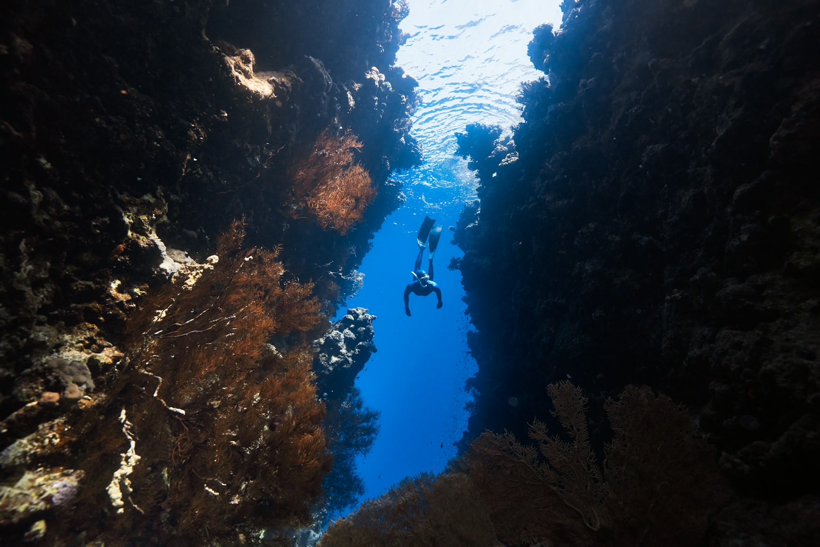 6-Day Komodo Liveaboard Itinerary: Full Park — or the Gili Banta & Sangeang Loop