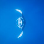 blue and white shark underwater