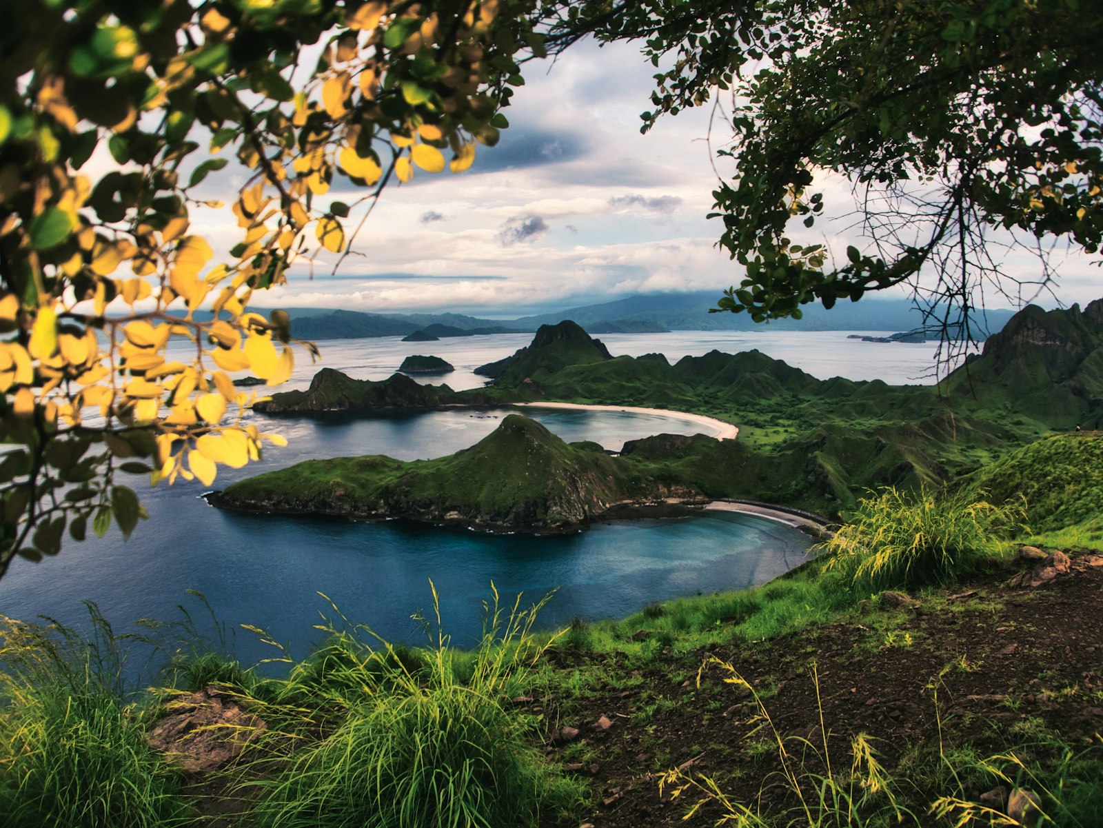 Moyo & Satonda Diving: Angel Reef and the Crater-Lake Stop on Sumbawa Routes