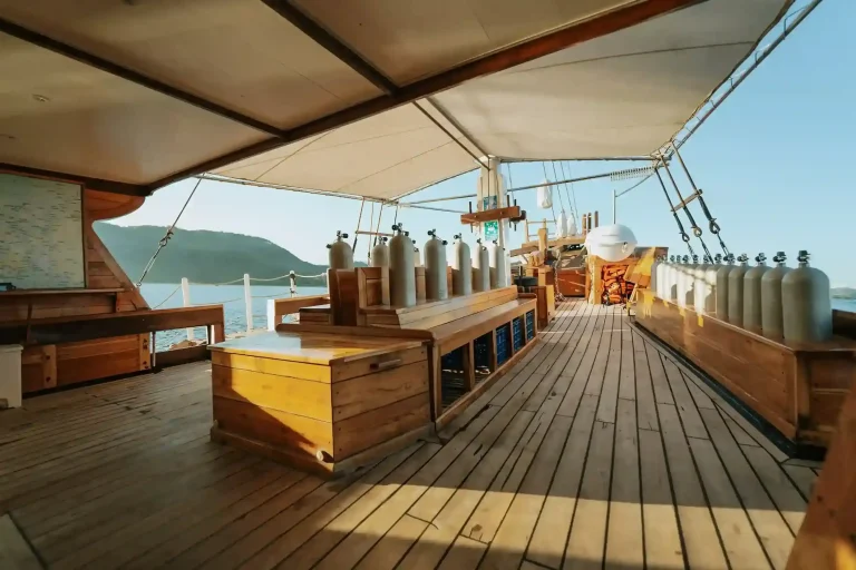 A Dive Day Aboard a VVIP Komodo Liveaboard: Hour by Hour