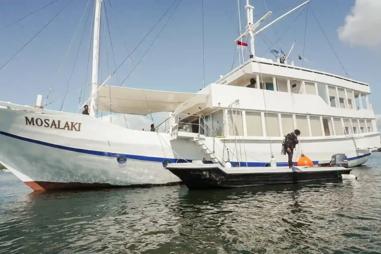 Dive Insurance & Emergency Care in Komodo 2027: What Divers Must Know