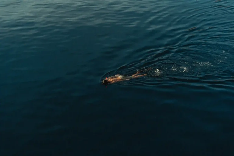 Planning a Dive Club Trip to Komodo in 2027: The Organizer’s Playbook